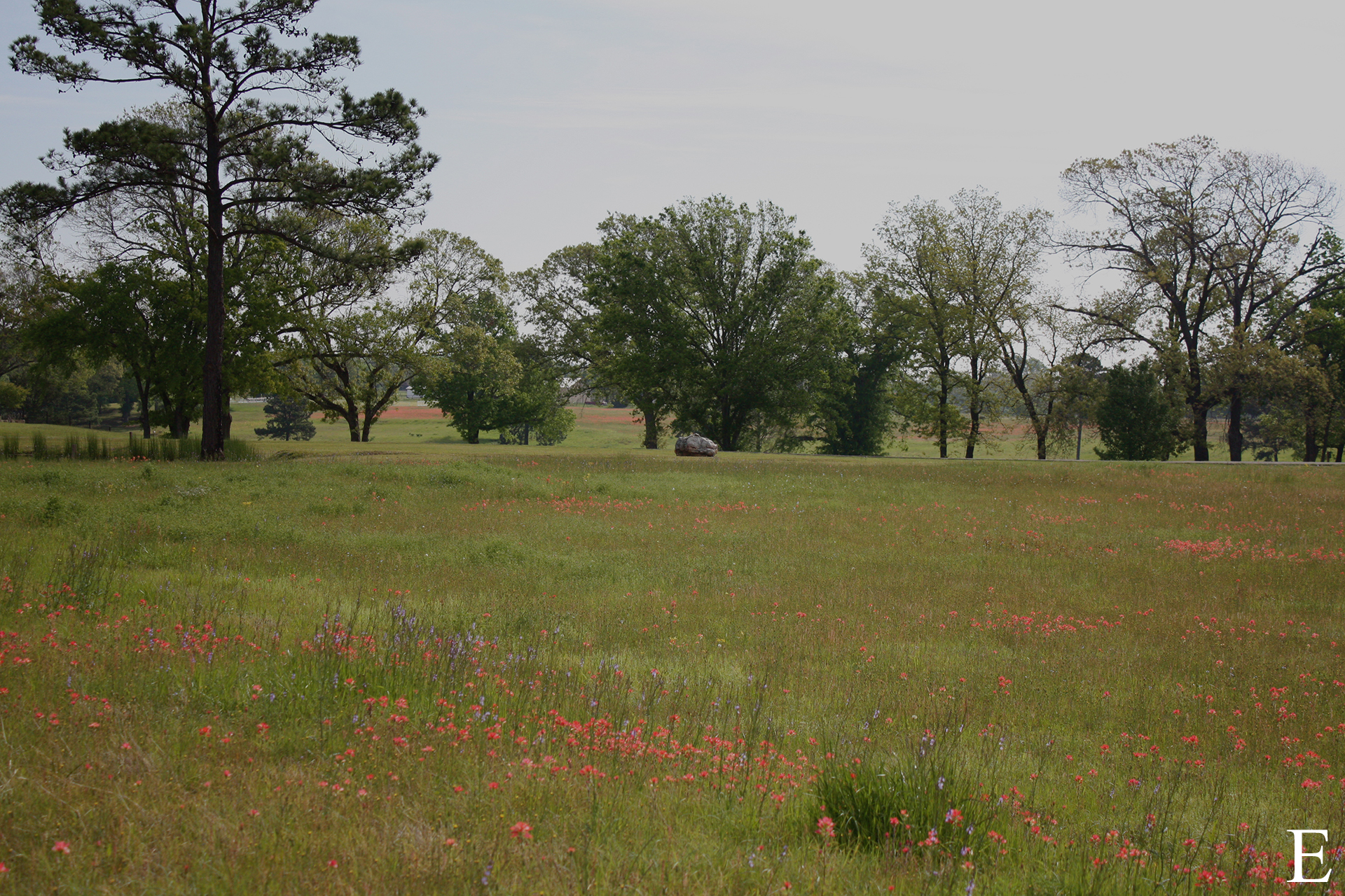 Lot 20 East Caddo Creek Estates