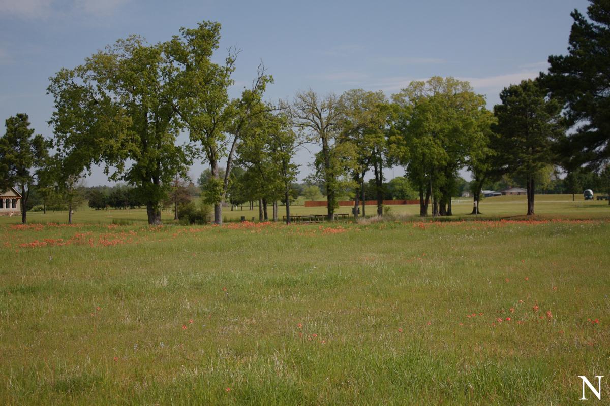 Lot 20 Caddo Creek Estates